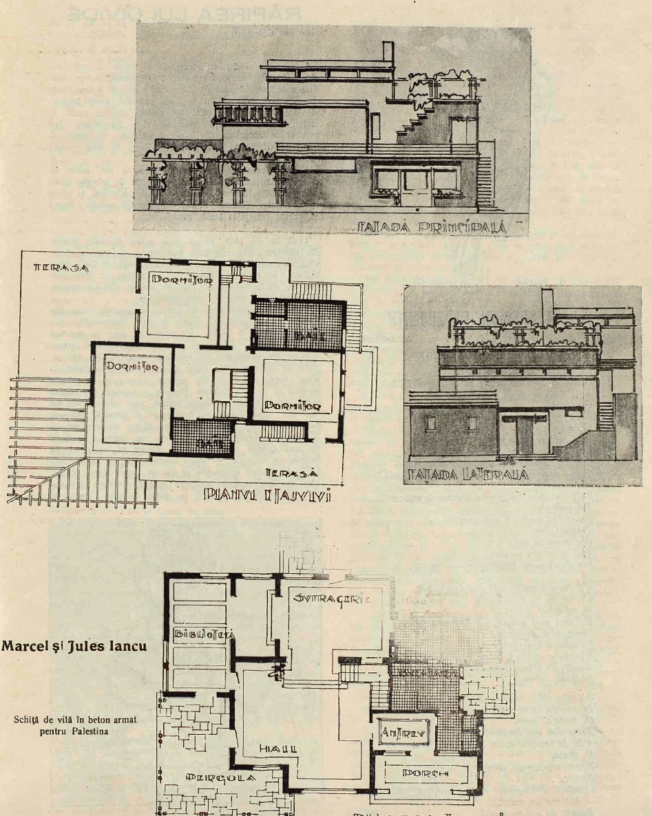 puntea janco design issue2